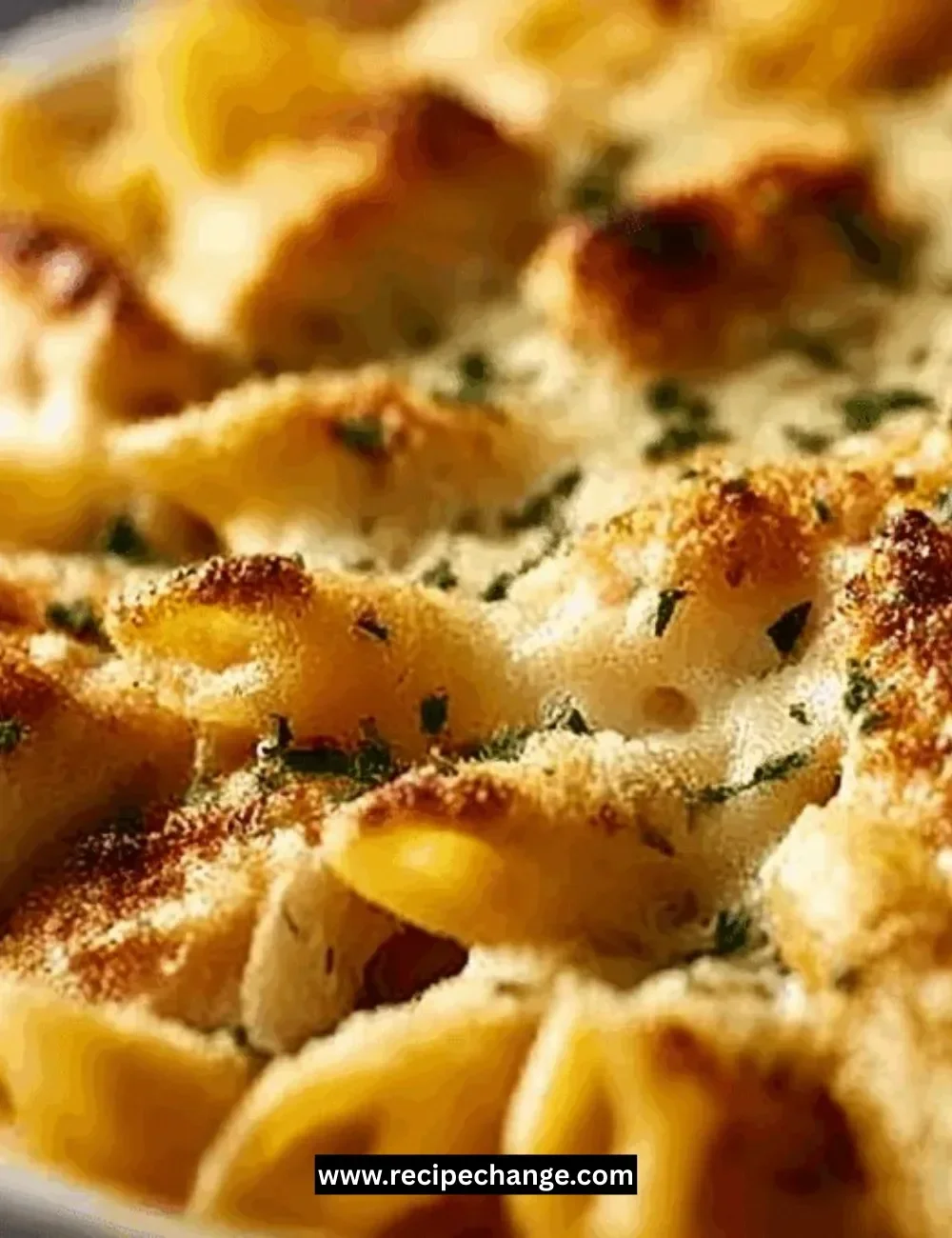 Creamy Herb Chicken Bowl with grilled zucchini and garlic rice