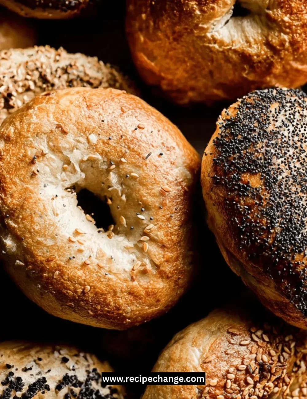 Crustless zucchini tomato quiche served on a plate