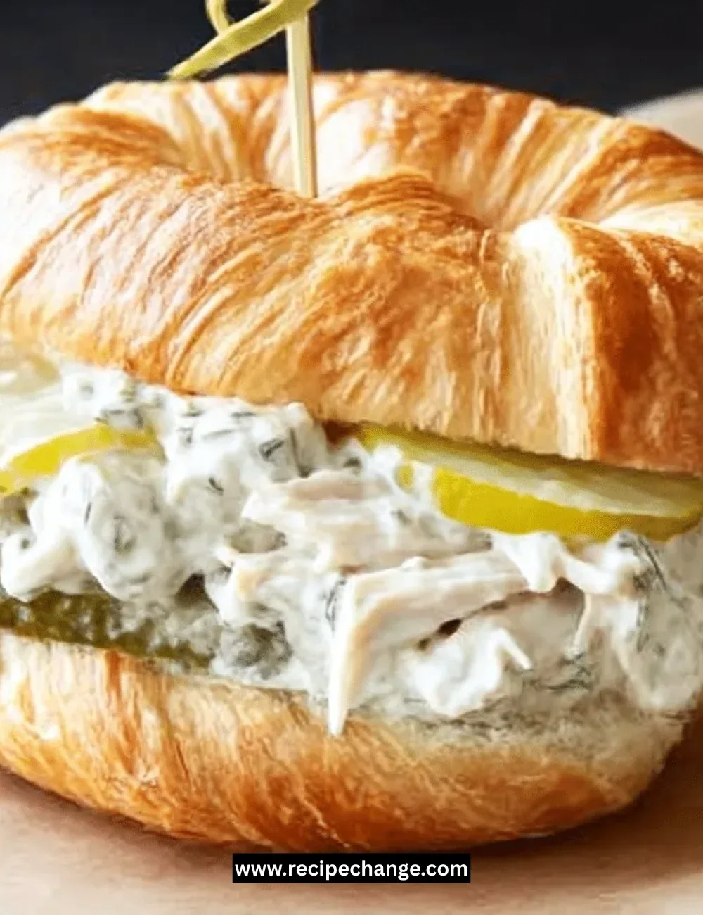Dill Pickle Chicken Salad Sandwich on a plate with fresh ingredients
