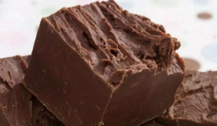 Delicious dairy-free chocolate fudge dessert on a white plate